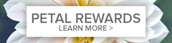 Petal Points loyalty reward points program